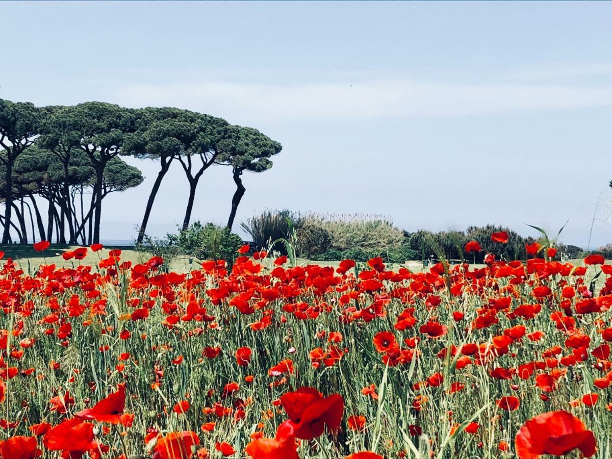 فيلا La Casa Nel Castello E Il Giardino Segreto سوفيريتو المظهر الخارجي الصورة